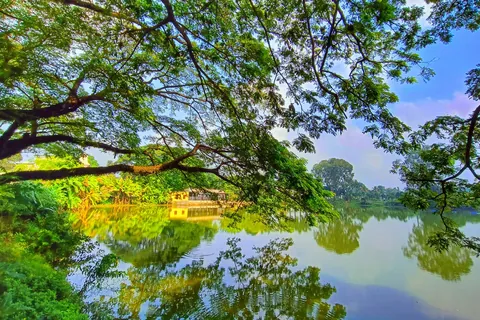 Rain tree branches arching over a still lake in Agartala, with the far bank reflected in the water
