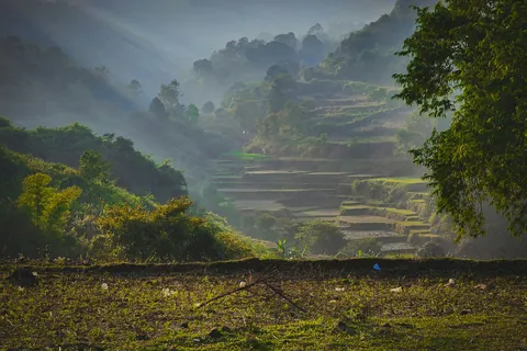 Mist and sunbeams over terraced fields in Araku Valley