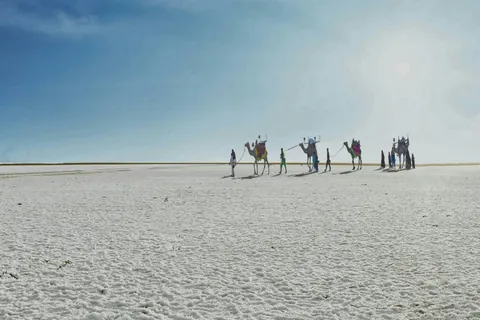 A camel caravan crossing the white salt flats of the Rann of Kutch